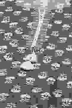 Olive Green Rayon Straight Printed Kurta Palazzo Suit Set image number 1