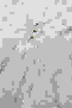 White Viscose Asymmetric Printed Dress image number 1