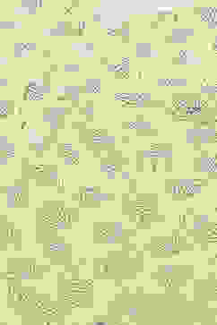 Green LIVA Straight Printed Kurta image number 1