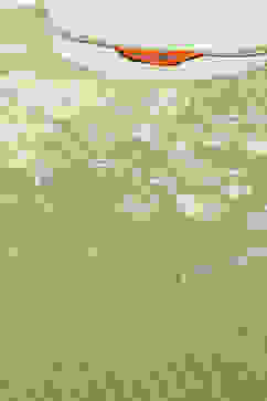 Green Rayon Staight Kurta image number 1