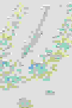 White Cambric Floral Printed Straight Kurta Set image number 1