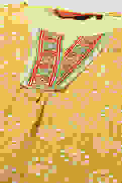 Mustard Yellow Rayon Indie Top image number 1