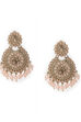 Pink Metal Brass Earring image number 0