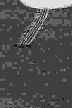 Green Acrylic Straight Printed Kurta Palazzo Suit Set image number 1