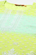 Lime Green Cotton Blend Straight Kurta image number 1