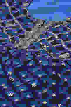 Coblt Blue Polyester Kalidar Printed Dress image number 1