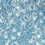 Blue and White Floral Printed Straight Kurta image number 6
